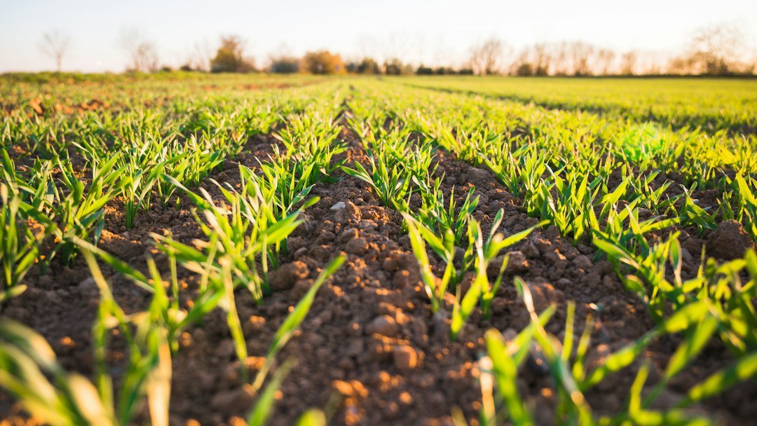 Menilik Sektor Primadona Startup Indonesia: Agritech, Healthtech, dan Energi Terbarukan