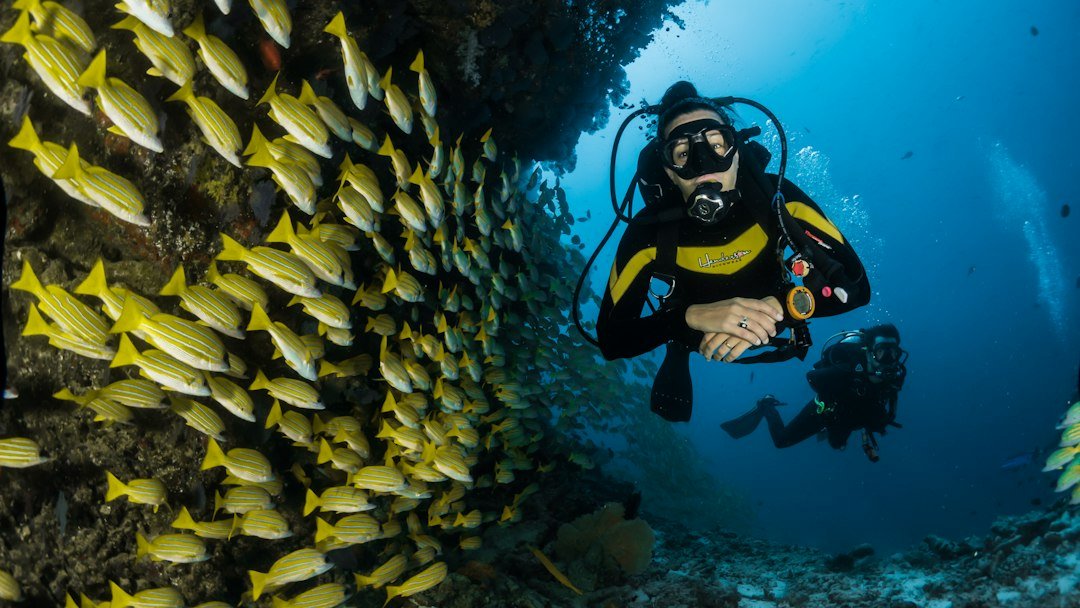 Ekologi Restorasi Terumbu Karang: Biorekayasa Biorock dan Penyelamatan Keanekaragaman Hayati Laut
